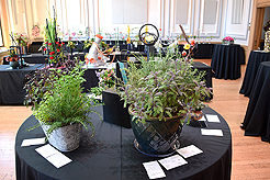 TIMELESS TACOMA TREASURES